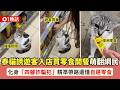 【01熱話】泰國皮皮島騙徒貓 帶遊客入便利店買零食爽開餐 多人中招|01熱話|泰國|皮皮島|貓