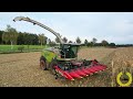 LKS Häckseln | Claas Jaguar 970 | Geringhoff Mais Star Horizon | Fendt 728 Vario | LU Behr | Mulchen