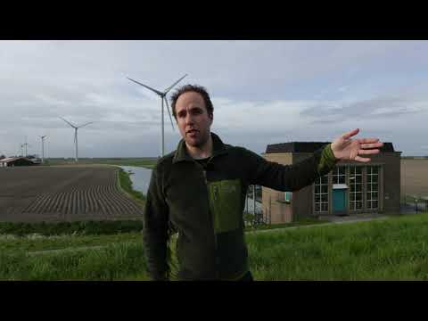 Glasaaltellers gezocht in Maassluis