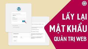 Quên Mật Khẩu Quản Trị Website WordPress Phải Làm Sao? Lấy Lại Tài Khoản Quản Trị Website