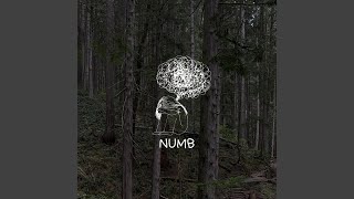 Numb