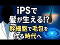 iPS細胞で髪が生える未来は近い?幹細胞で毛包を作る最新研究