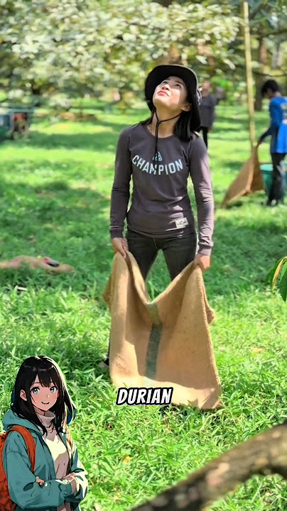 Have you ever heard the sound of a falling durian? 😯💥 Here's the explanation!