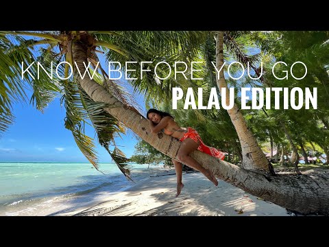 10 Useful tips to know before traveling to Palau! 🇵🇼