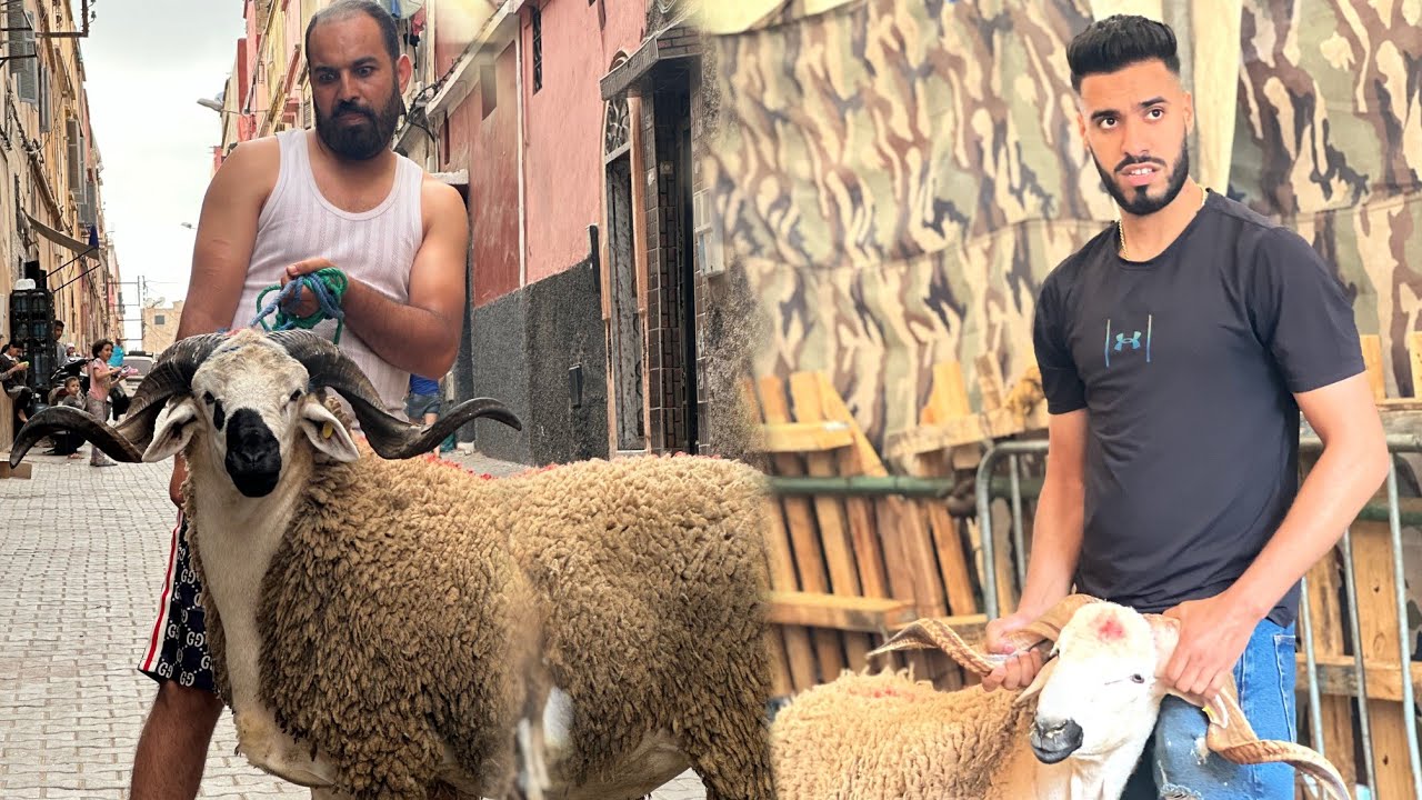 2 مشرملين شفرو حولي ديال لعيد من فندق الخروف 🤣