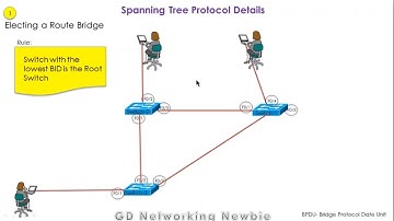 Easy Steps To Mastering The Spanning Tree Protocol - Simplified Explanation!