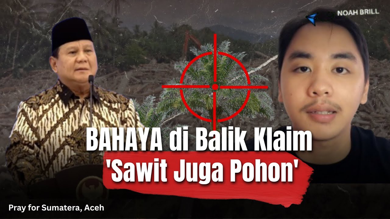 BENCANA SUMATERA: Fakta Kalau Sawit Jadi 