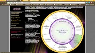 OTCA - Occupational Therapy Practice Process