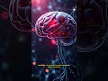 El Cerebro Sintético: IA, Neurociencia y el Poder del Deep Learning