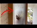 How to Install Decorative Privacy Window Film