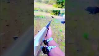 Охота на дикого кабана | Экстремальная охота | Wild Boar Hunting 2026