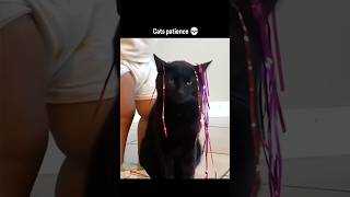 Cat Patience Level = 1000 😂🐱#shorts @ComedyVortex-e7|