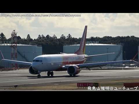 [Landing in the morning] Thai VietJet Air Boeing 737 MAX 8 HS-VZD @ Narita RWY34R [March 15, 2026]
