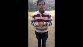 PAYTM KARO screenshot 3