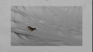 Scene 050 Wolf Run to Stop (WIP)