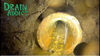 Blocked Drain 1168
