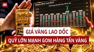 Gold prices plummet, world's largest exchange-traded fund continues to hoard tons of gold | VTC News