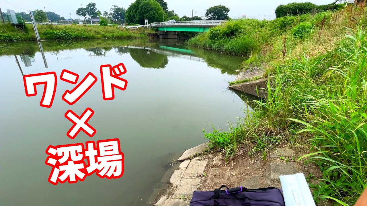 橋の近くにある吐き出しにワンドで深場なら魚がいるはず【埼玉県蓮田市 綾瀬川】