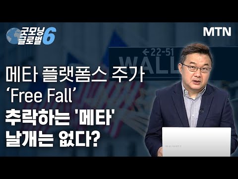 [이항영의 월가이드] 메타 플랫폼스 주가 ‘<strong>Free</strong> <strong>Fall</strong>’ 추락하는 &amp;#39;메타&amp;#39; 날개는 없다? / 머니투데이방송 (증시, 증권)