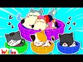 Wolfoo and Ten in the Bed with Pet - Wolfoo Learns How To Foster a Kittens | Wolfoo Family