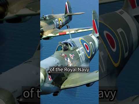 The Largest Battle In The History Of The World S Air Force Battle Of Britain 