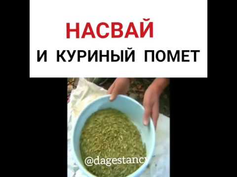 372Как сделать насвай у себя дома