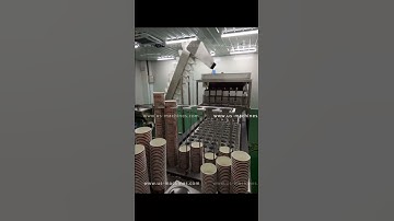Different linear weighing filling system video for automatic bagging packing machine