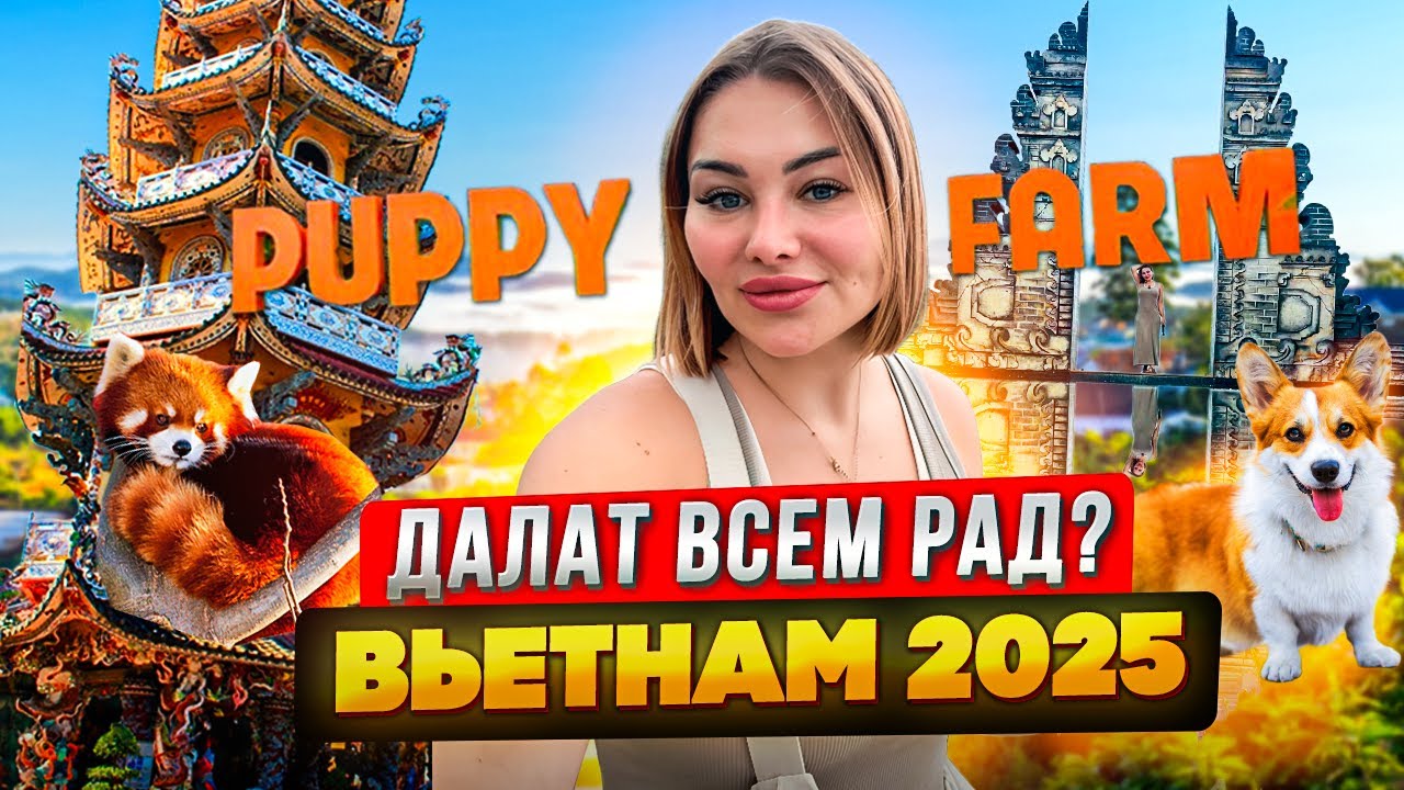 Далат, Вьетнам 2025. Атмосферные места, бары, рестораны, массажные салоны, отели и ферма животных