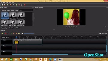 openshot video editor usage