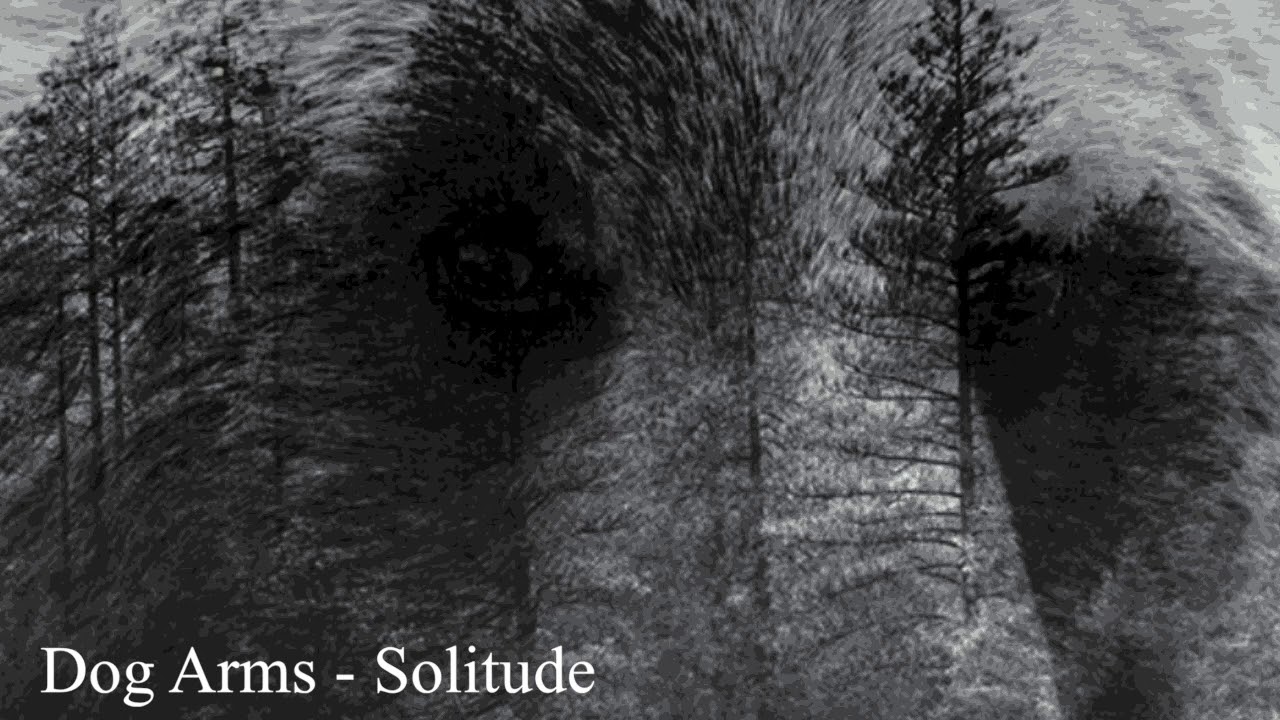 Dog Arms - Solitude [Nobody Else EP]
