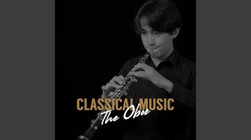 Oboe Concerto in A Minor, RV 461: I. Allegro non molto