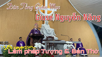 Đức Tổng Giám Mục Giuse Nguyễn Năng về dâng Lễ, làm phép Tượng và Bàn Thờ Đất Thánh Gx Bạch Lâm 2024