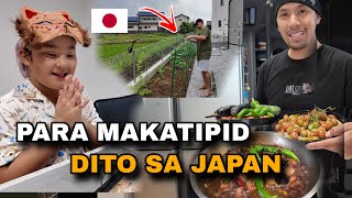 BUHAY SA JAPAN , HARVEST ULI TAYO PANG ULAM | Filipino Japanese Family