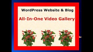 Best Video Gallery Plugin wordpress |All in one video Gallery 2018