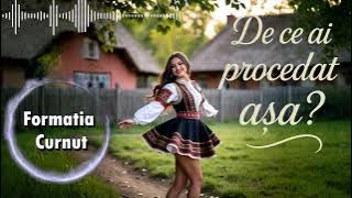 Formatia Curnut (Группа Курнуц) - De ce ai procedat asa (2025)