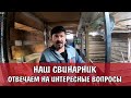 НАШ СВИНАРНИК. ОТВЕЧАЕМ НА ИНТЕРЕСНЫЕ ВОПРОСЫ =)