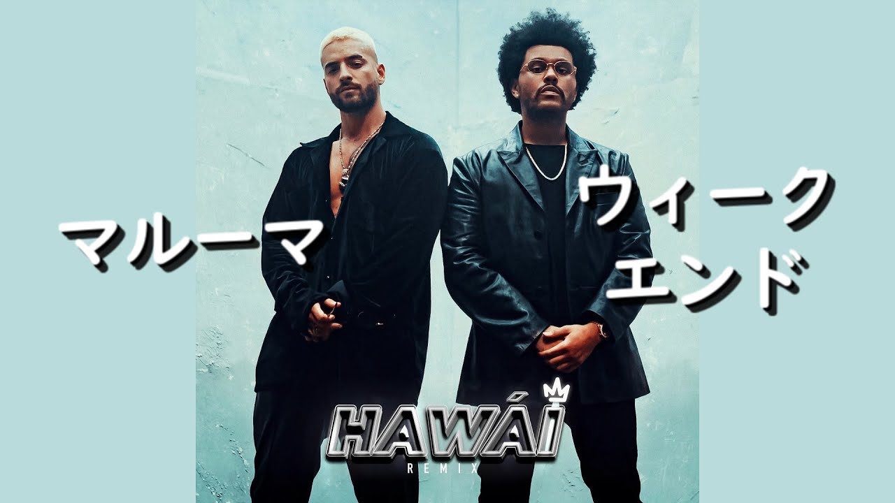 新規導入プログラム✨サルセーション✨(SALSATION®︎)って、どんなもの