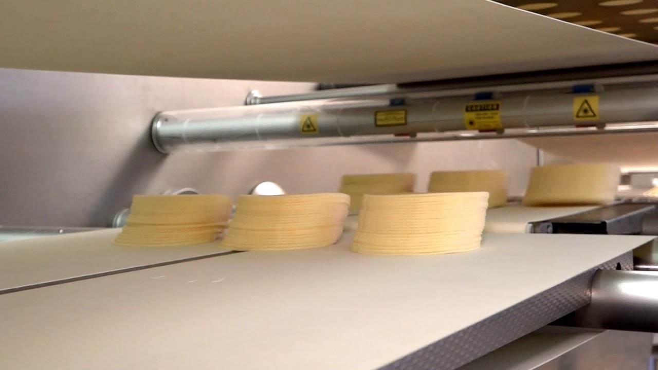 Cheese Making Process in Factory