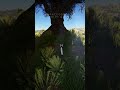 Warrior Cats: Lake Territory (WCLT) Public 48 Hour Testing Montage
