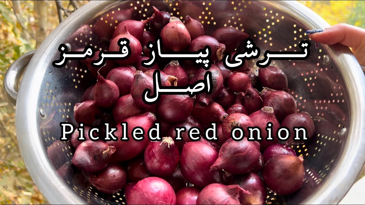طرز تهیه ترشی پیاز رو بریم ببینیم Let's see how to make pickled onions