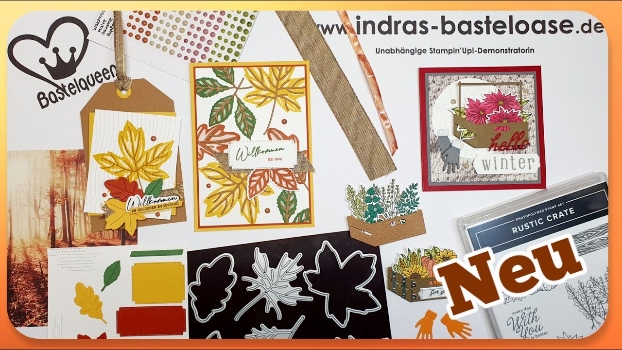 Neue Produkte: Minikatalog Sept.-Dez. '23 │Herbst