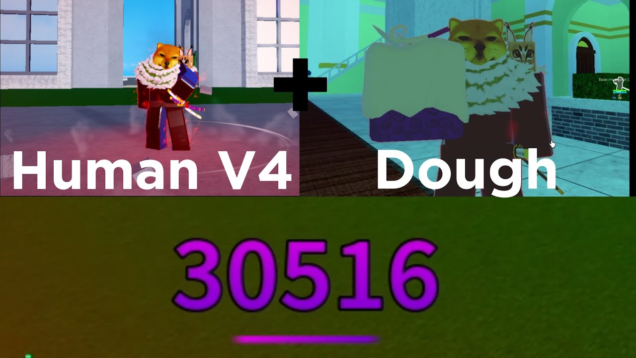 Blox fruit Bounty hunter 10M _ Race v4 Cyborg Leo _ Awakened Dough