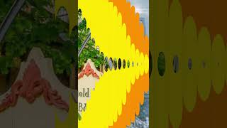 Top 10 Bed and Breakfast in Sturgeon Bay Top 10 Bed and Breakfast in Sturgeon Bay