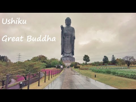 【Japan travel guide#7】Ibaraki (1)Kashima Jingu Shrine, Kura, Ushiku Great Buddha (Z6, DJI Pocket2)