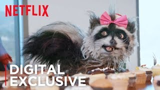 Rose Spreads Holiday Cheer At Netflix The Curious Creations Of Christine Mcconnell Netflix