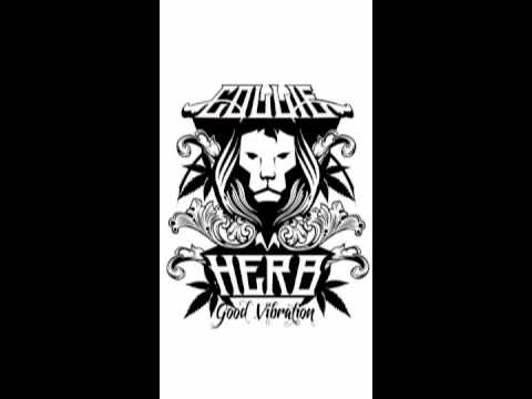Collie Herb - Move Your Body