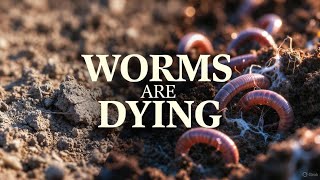 Raised Bed Mistakes That Quietly Kill Earthworms (Fix Them Fast) #soilmicrobes #soilhealth #seedly