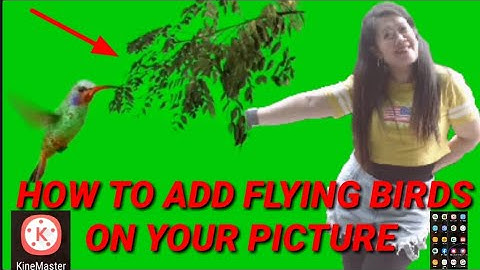 HOW TO ADD FLYING BIRDS ON YOUR  PICTURE //GREEN SCREEN //KINEMASTER