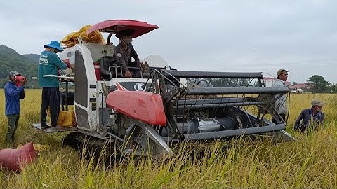 máy cắt 70 độ hợp số 102 cắt lúa tốc độ cao tập45 #maibangtv