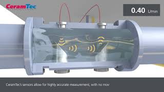 Ultrasonic Flow Sensor